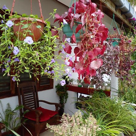 Gem Villa Weligama Ngoại thất bức ảnh