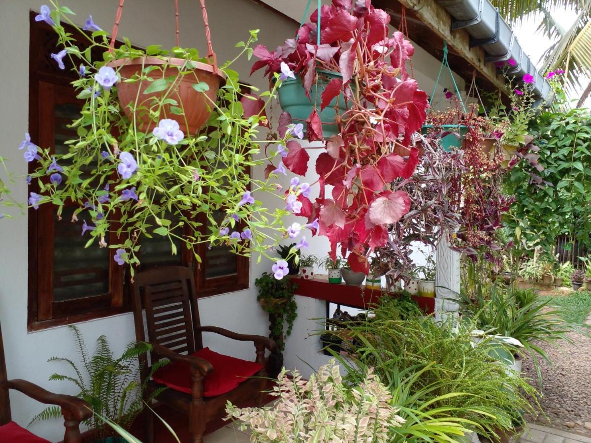 Gem Villa Weligama Ngoại thất bức ảnh