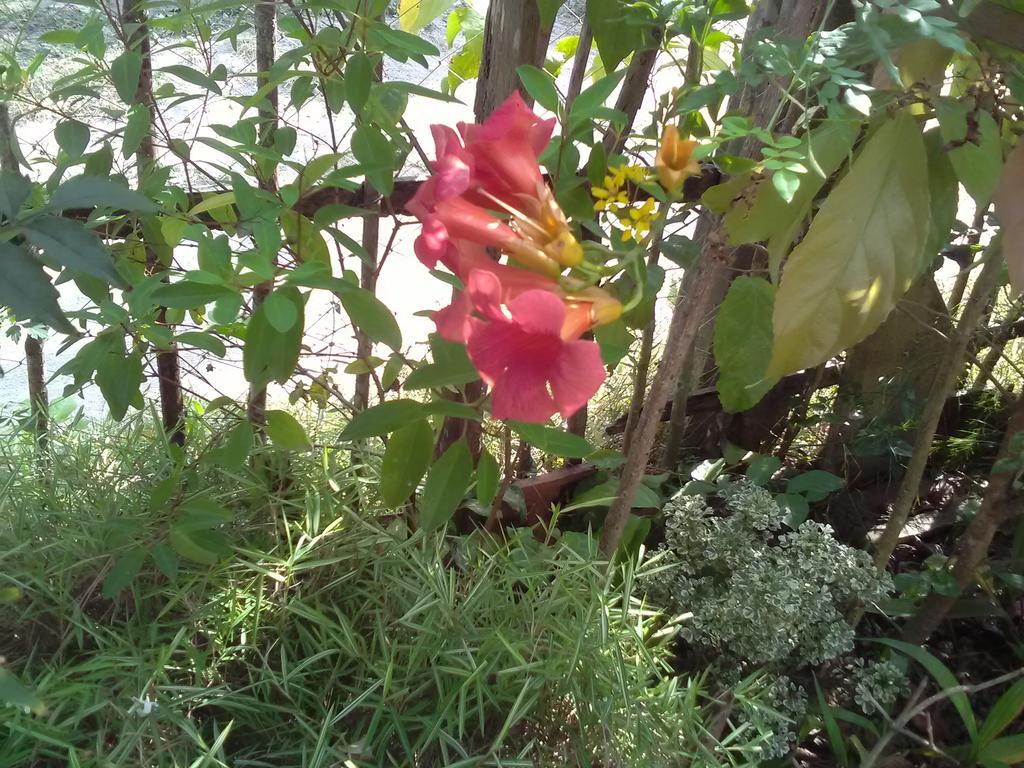 Gem Villa Weligama Ngoại thất bức ảnh